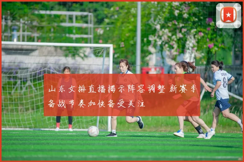 山东女排直播揭示阵容调整 新赛季备战节奏加快备受关注