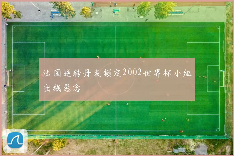 法国逆转丹麦锁定2002世界杯小组出线悬念