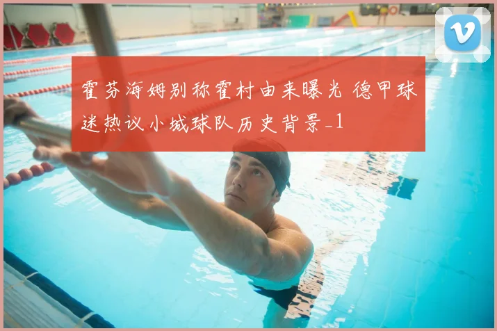 霍芬海姆别称霍村由来曝光 德甲球迷热议小城球队历史背景_1