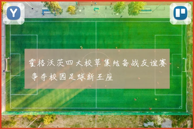 霍格沃茨四大校草集结备战友谊赛 争夺校园足球新王座