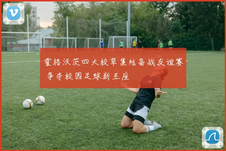 霍格沃茨四大校草集结备战友谊赛 争夺校园足球新王座