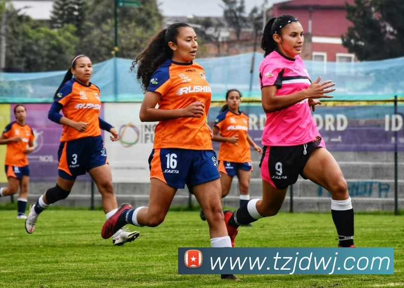 PG官网入口 - PG(中国)平台生态图