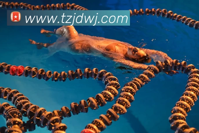 辅助工具 辅助工具